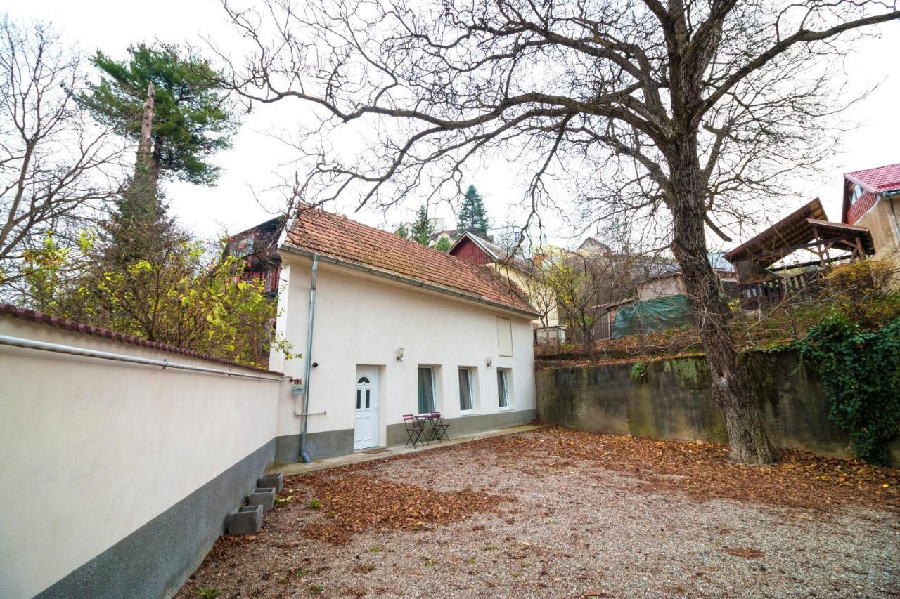 Crisan Residence - Vila Crisan Brasov Exterior photo